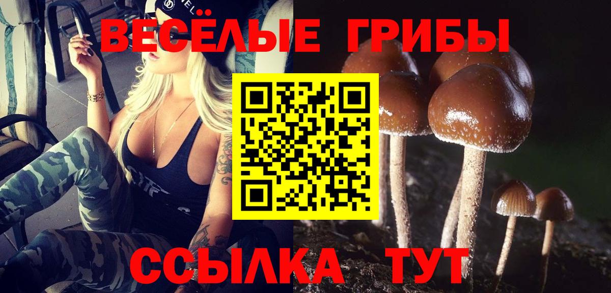 Находка  Псилоцибиновые грибы прущие грибы  продажа наркотиков  Вход с VPN 